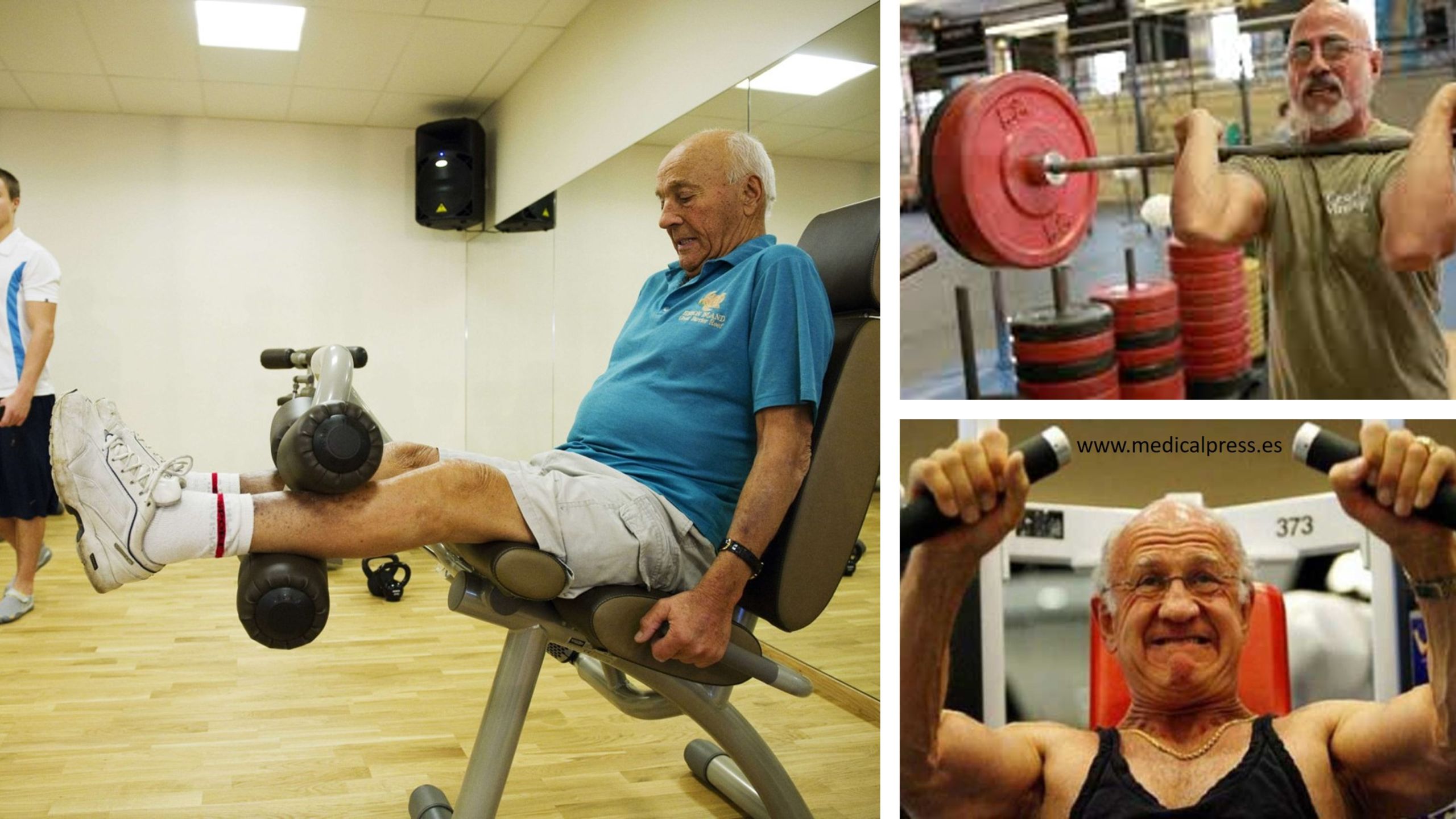 El aumento del tamaño de las fibras musculares con entrenamiento de fuerza es dependiente de la edad